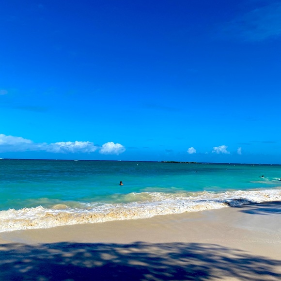 Meet your Posher, Cody - Picture 1 of 1